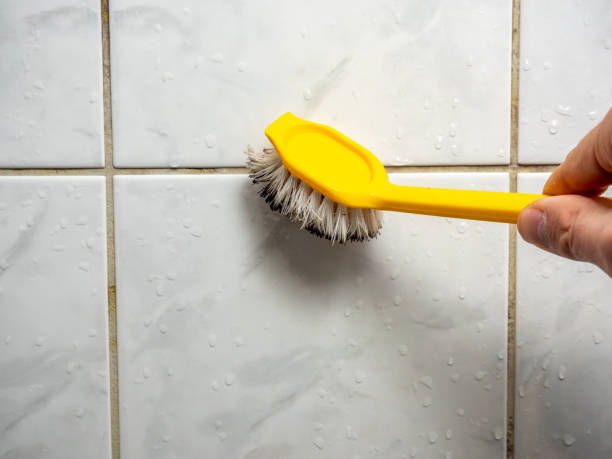 Best Mold Cleaning Services  in Shrewsbury, NJ