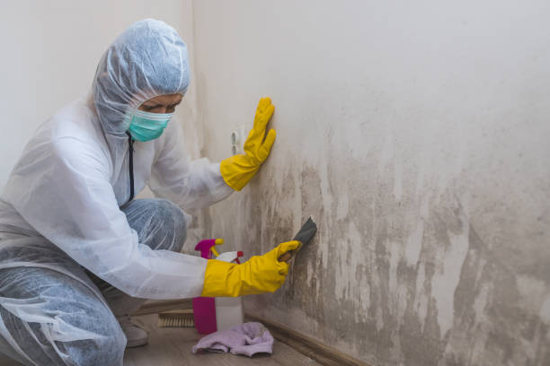 Best Water Damage Restoration  in Shrewsbury, NJ