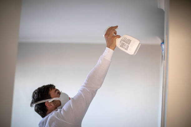 Best Black Mold Removal  in Shrewsbury, NJ
