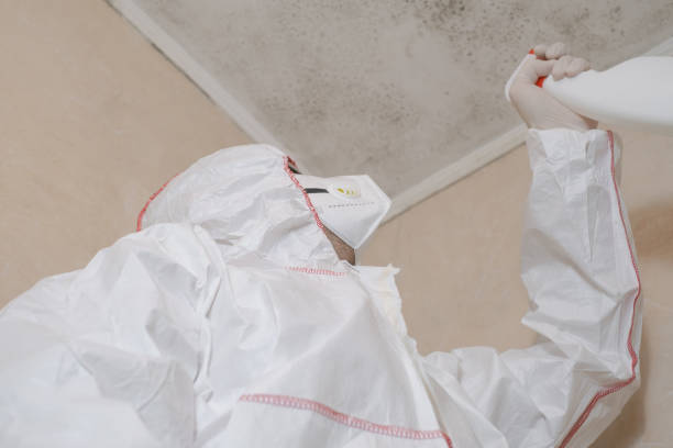 Best Mold Testing  in Shrewsbury, NJ