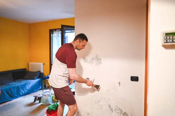 Best Crawl Space Mold Removal  in Shrewsbury, NJ